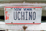 Uchino License Plate